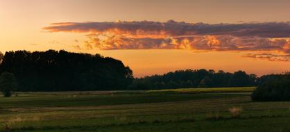 field with green grass next to trees at dusk