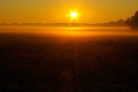 Beautiful landscape of the field in Illinois, USA, in colorful sunrise