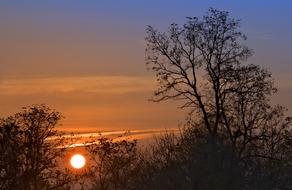 red Sunrise Tree Morning