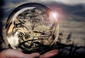 clipart photo of marsh grass in a glass ball