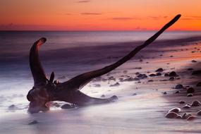 Beautiful seaside with the wooden root at colorful sunrise on background