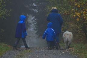 Walk Fog people and dog
