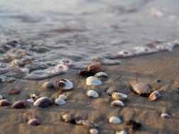salt Sea Water Beach