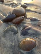 stones in wet sand on the coast close up