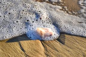 Beach Sea Foam