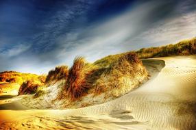 sand dunes on the Danish coast