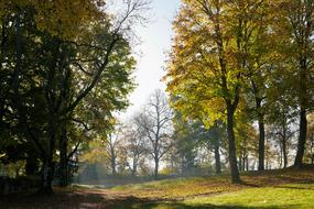 autumn forest near honing castle