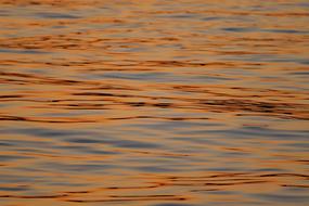 Water Sunset Mirroring orange