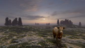 Landscape of Cow on Field at sunset