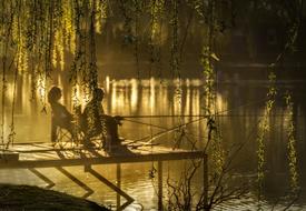 Sunset Lake Anglers gold light