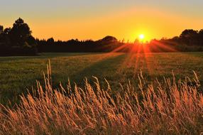 Sunset over countryside, sweden, VÃ¤rnamo