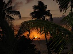 orange twilight in the caribbean