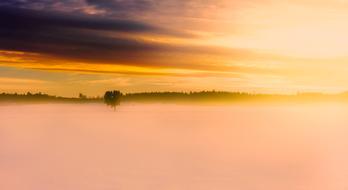 sunrise and fog over trees in the countryside in Sweden