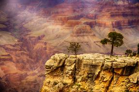 Beautiful and colorful mountains with the trees, in the Grand Canyon, Arizona, United States of America