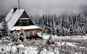 Beautiful landscape with the cabin among the snowy forest