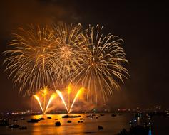 Fireworks Pyrotechnics at Night