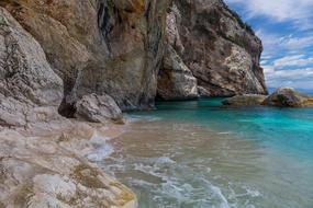 fantastic Nature Coast