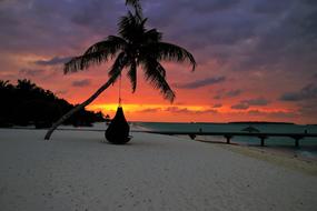 Palma Beach Sand red sun