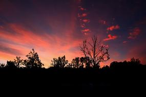Beautiful landscape, with the silhouettes of the trees, at beautiful and colorful sunset, with the clouds