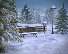 winter snow season park