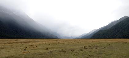 fog over mountains and valley in new zealand