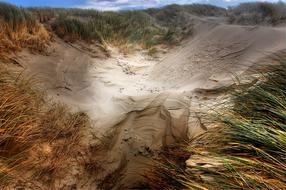 Dunes Beach landscape