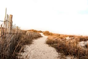 photo of a fence along a sandy path on a tourist beach