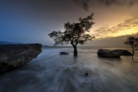 picturesque coast of Phu Quoc island at dusk