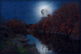 big moon above the trees near the river