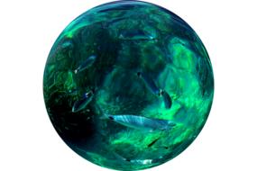 sea fish in a green decorative ball