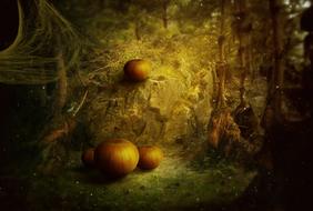 halloween pumpkin fantasy