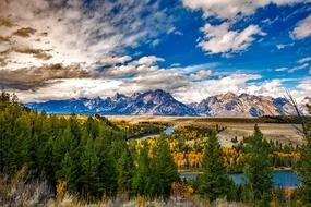 Grand Teton National Park tress