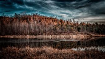 Panoramic view of Nature Dawn forest