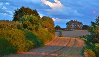 Landscape Evening Sky trees