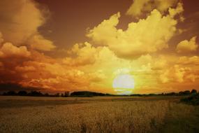 Sunset in white clouds over wheat field