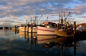 Sunset Marina Boats city
