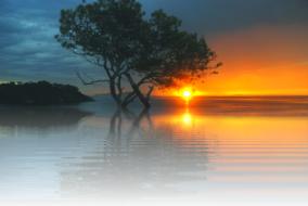 Beautiful waterscape with the trees, at colorful sunset in the evening sky with clouds