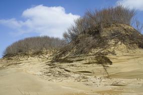 Beautiful landscape of the sand dunes with plants, at blue sky with white clouds on background