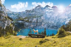 Lake Oeschinen