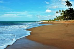 Trees Sand Beach Monolithic