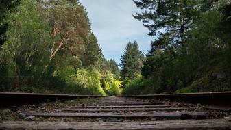 Travel Green railway