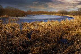 Nature Landscape at Spring