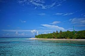 Maldives Nature Beach sea