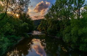 forest River Landscape