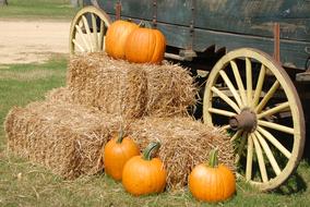 Pumpkins on hay and Wagon Farm