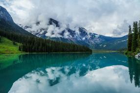trees and Lake Canada Landscape