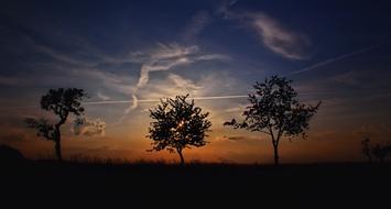 Beautiful landscape with tree silhouettes at colorful sunset on horizon