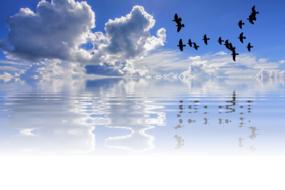 clipart of birds over lake