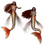 mermaid fantasy siren 3d drawing