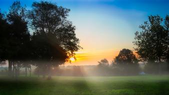 Morning smoke Fog forest